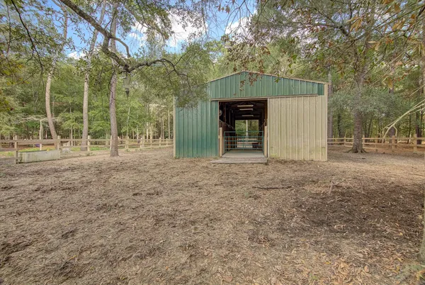 a view of a backyard with large trees and wooden fence
