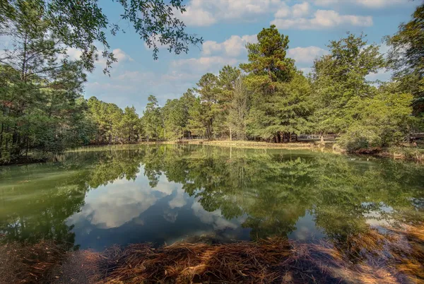 a view of a lake with a mountain