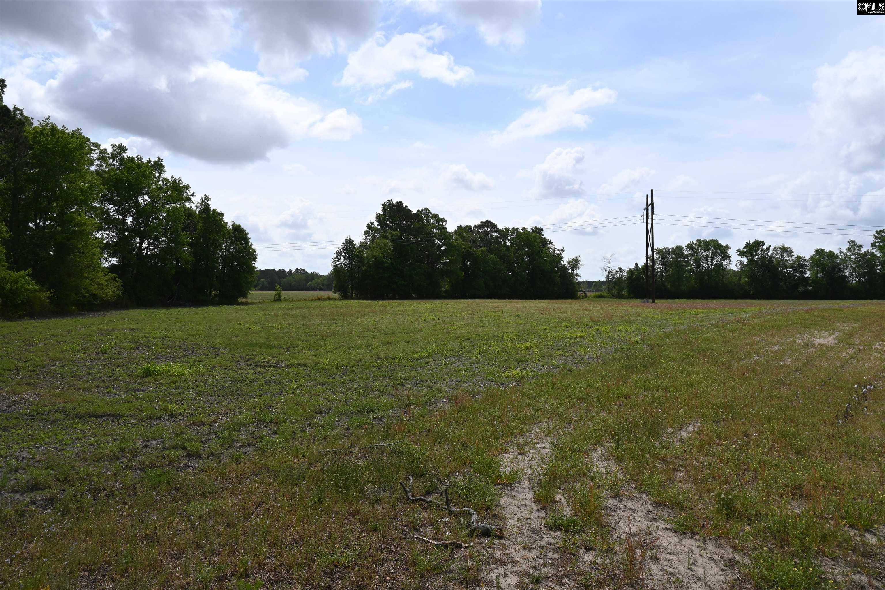 Tbd Gallowaytown Road Hartsville, SC 29550 - Photo 26 of 34