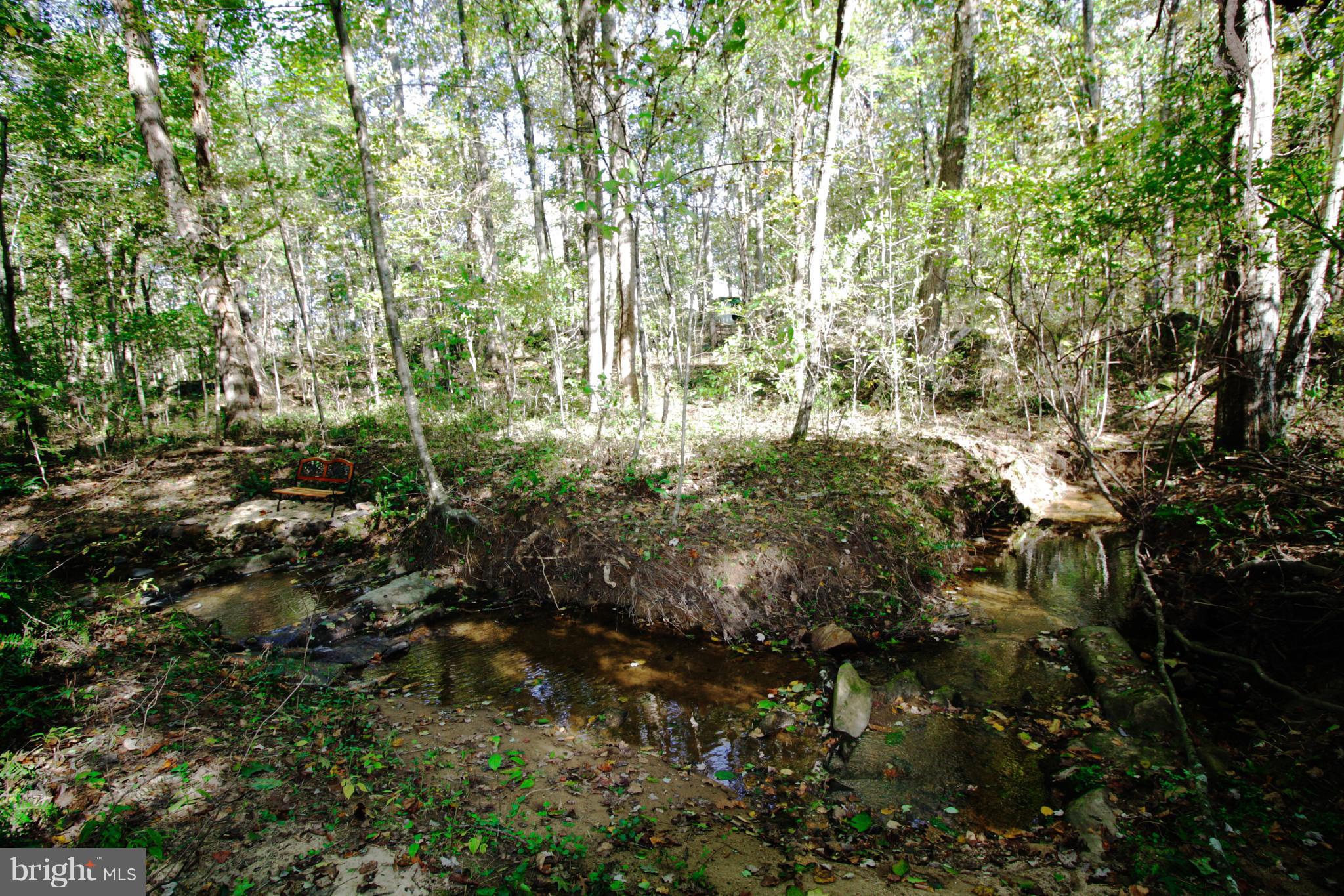11373 Scotts Mill Road Culpeper, VA 22701 - Photo 16 of 18 Bench by the stream