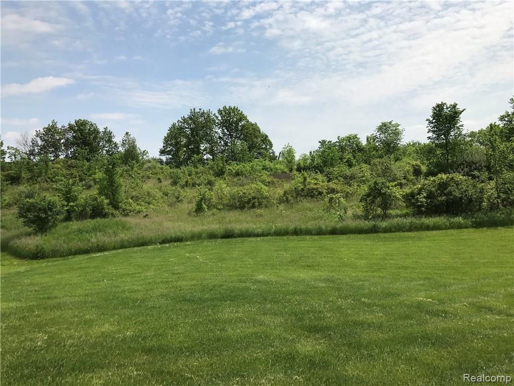 0 Warren Rd Avenue Detroit, MI 48201 - Photo 4 of 10