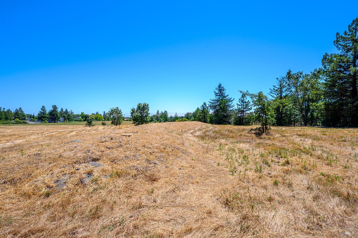 5400 Hall Road Santa Rosa, CA 95401 - Photo 8 of 13 Engineered Septic Mound