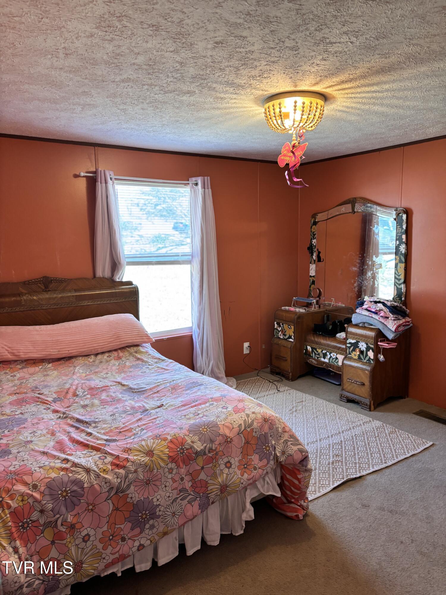 1195 Main Street Mosheim, TN 37818 - Photo 18 of 30 IMG_0127