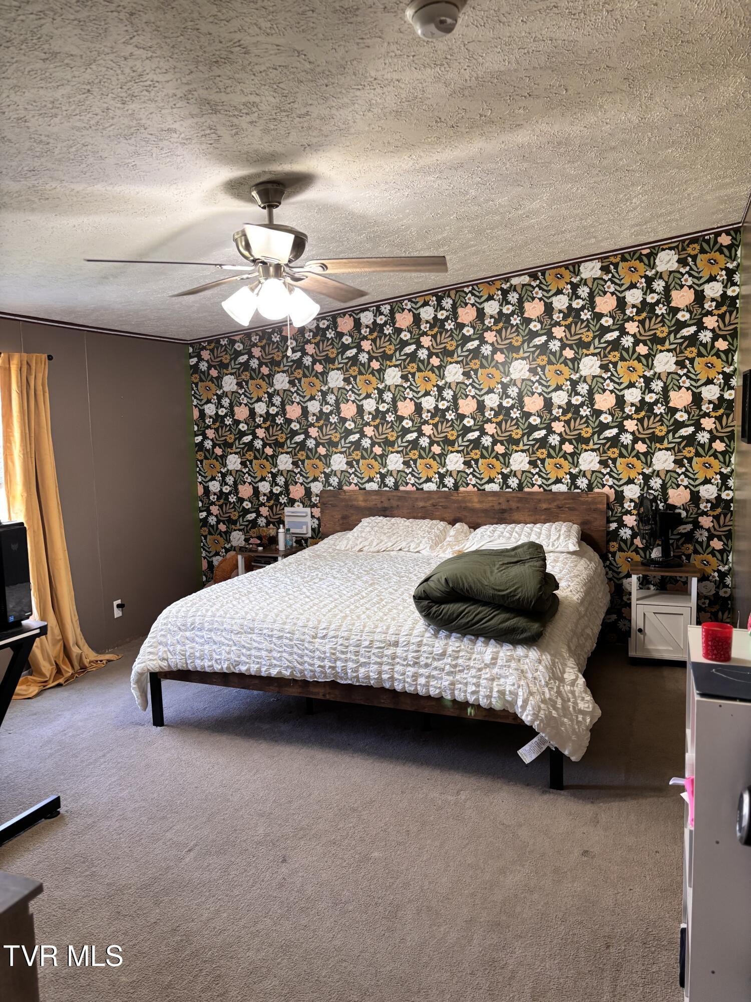 1195 Main Street Mosheim, TN 37818 - Photo 6 of 30 IMG_0114