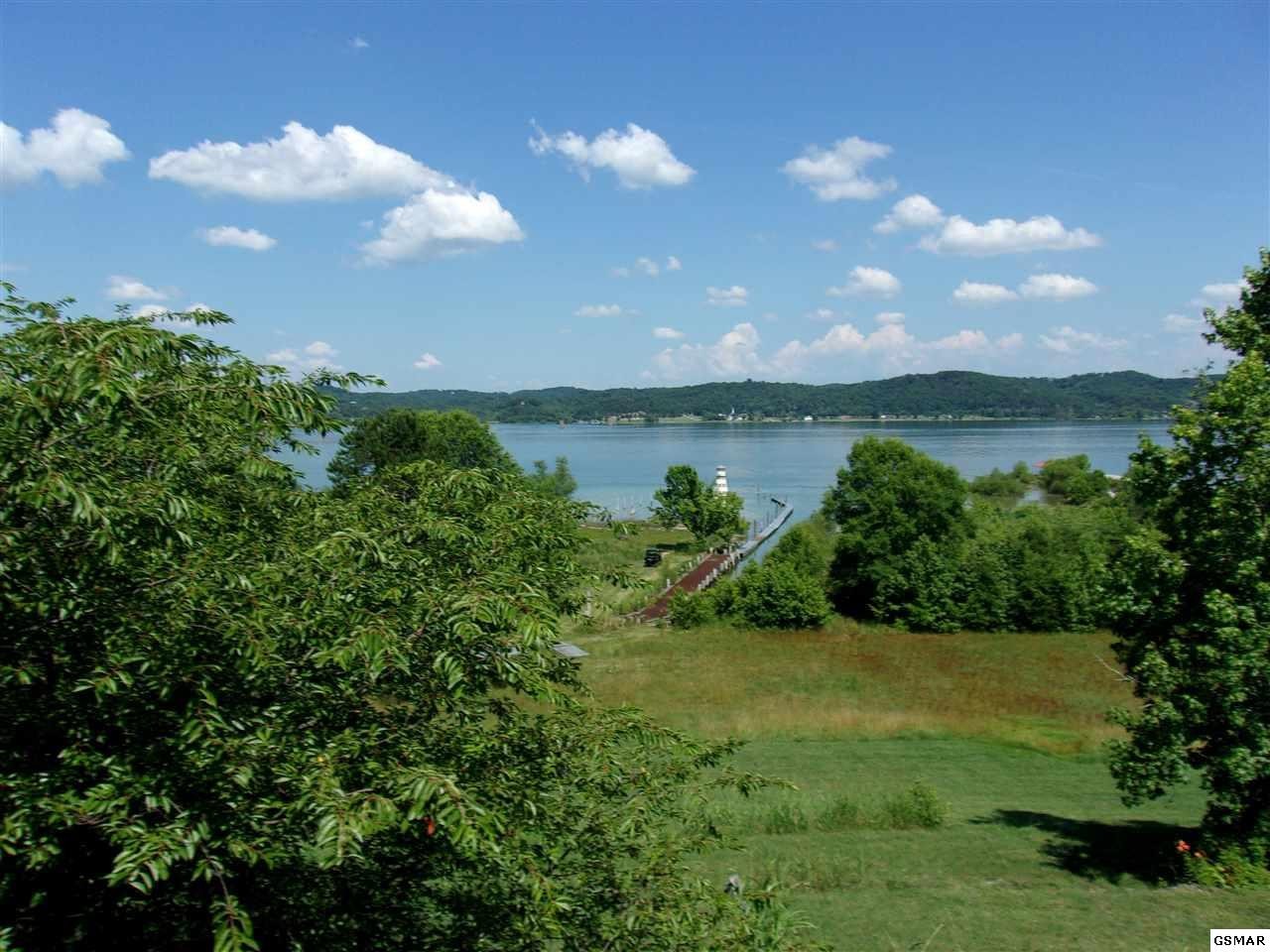 984 Harrison Ferry Road White Pine, TN 37890 - Photo 36 of 36 Gallery Image 36