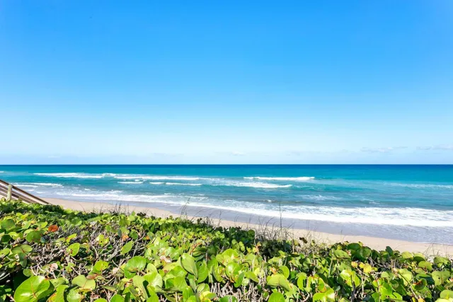 a view of an ocean and beach