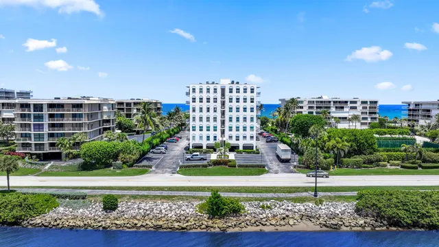 a view of a garden with plants