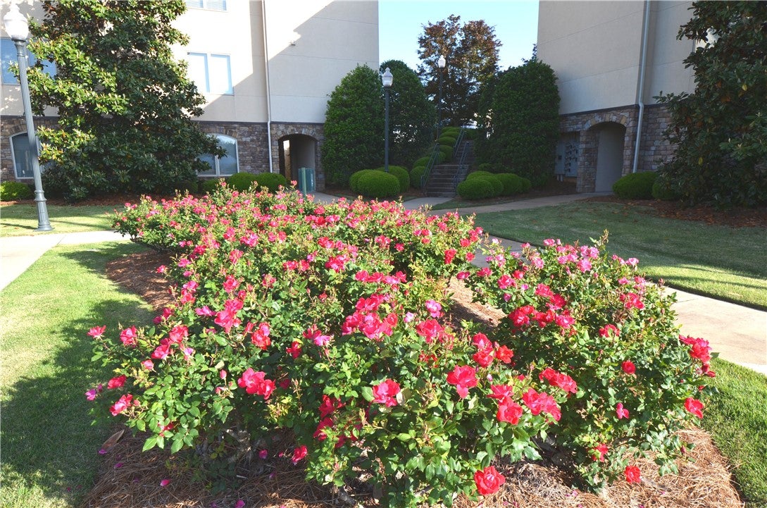 390 Marina Point Road, Unit D101 Dadeville, AL 36853 - Photo 11 of 36 Gallery Image 11