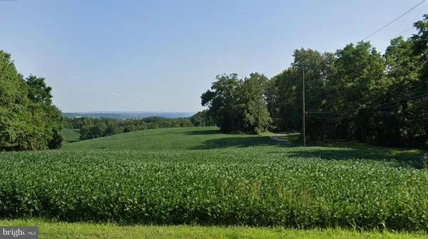 a view of a grassy field with trees