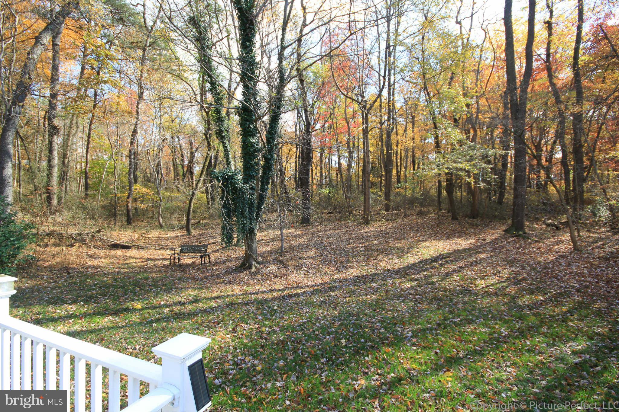 11790 Thomas Spring Road Monrovia, MD 21770 - Photo 22 of 24 View