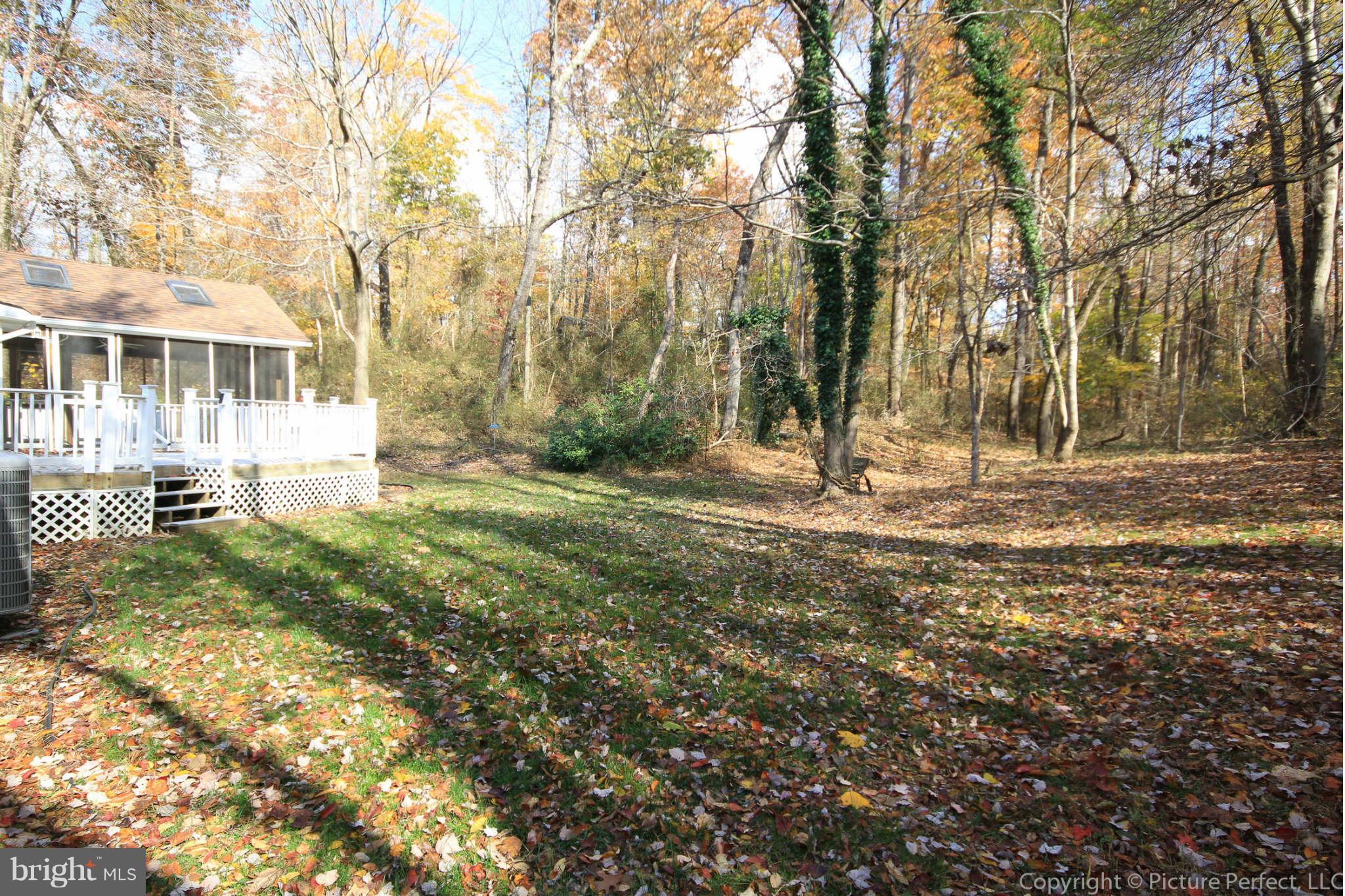 11790 Thomas Spring Road Monrovia, MD 21770 - Photo 23 of 24 Back yard