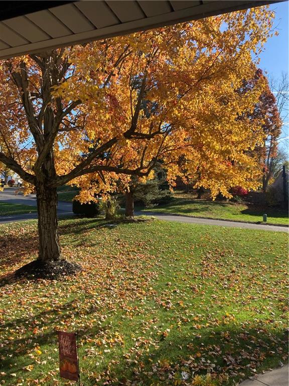 130 Tory Road Coraopolis, PA 15108 - Photo 47 of 50 a view of outdoor space with garden