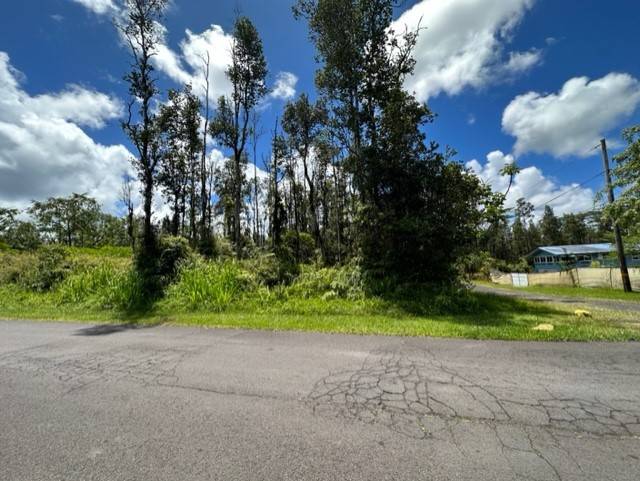613 Holiday Road Pahoa, HI 96778 - Photo 3 of 6 Gallery Image 3
