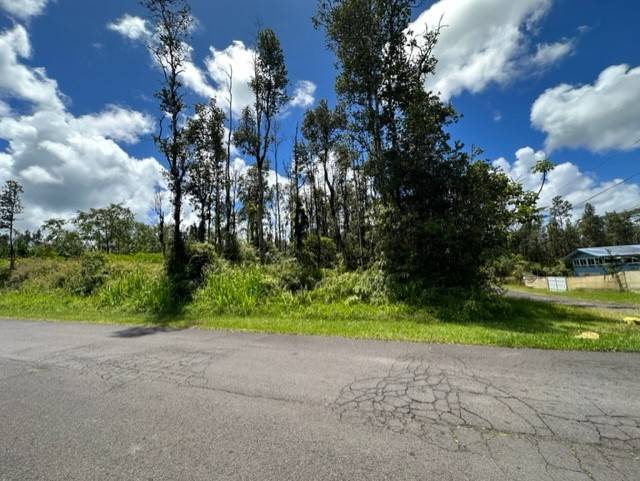 613 Holiday Road Pahoa, HI 96778 - Photo 4 of 6 Gallery Image 4
