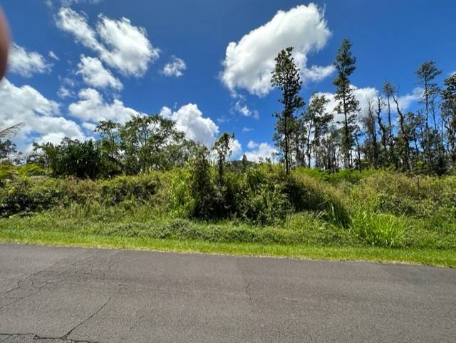 613 Holiday Road Pahoa, HI 96778 - Photo 5 of 6 Gallery Image 5