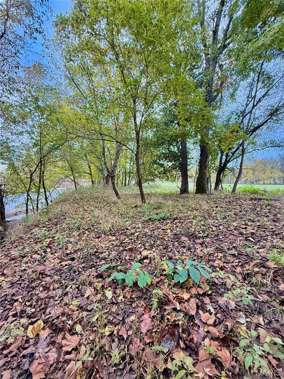 31 Cloud Lane Lebanon, MO 65536 - Photo 35 of 56