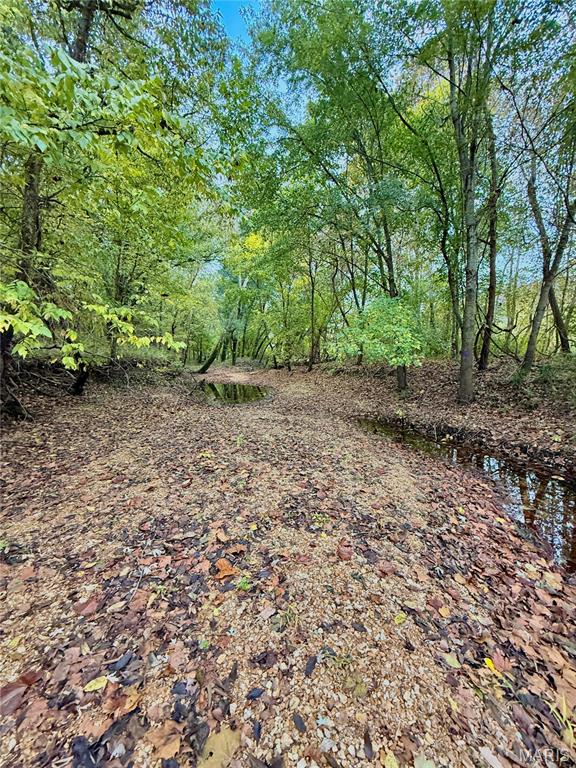 31 Cloud Lane Lebanon, MO 65536 - Photo 36 of 56