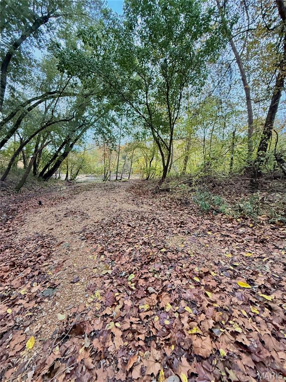 31 Cloud Lane Lebanon, MO 65536 - Photo 39 of 56