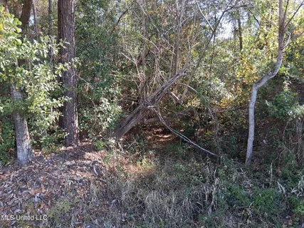 $15,000 | 0 Camellia Street, Kiln, MS 39556