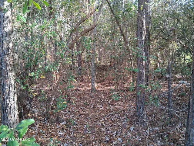 $15,000 | 0 Camellia Street, Kiln, MS 39556