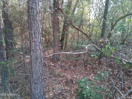 $15,000 | 0 Camellia Street, Kiln, MS 39556