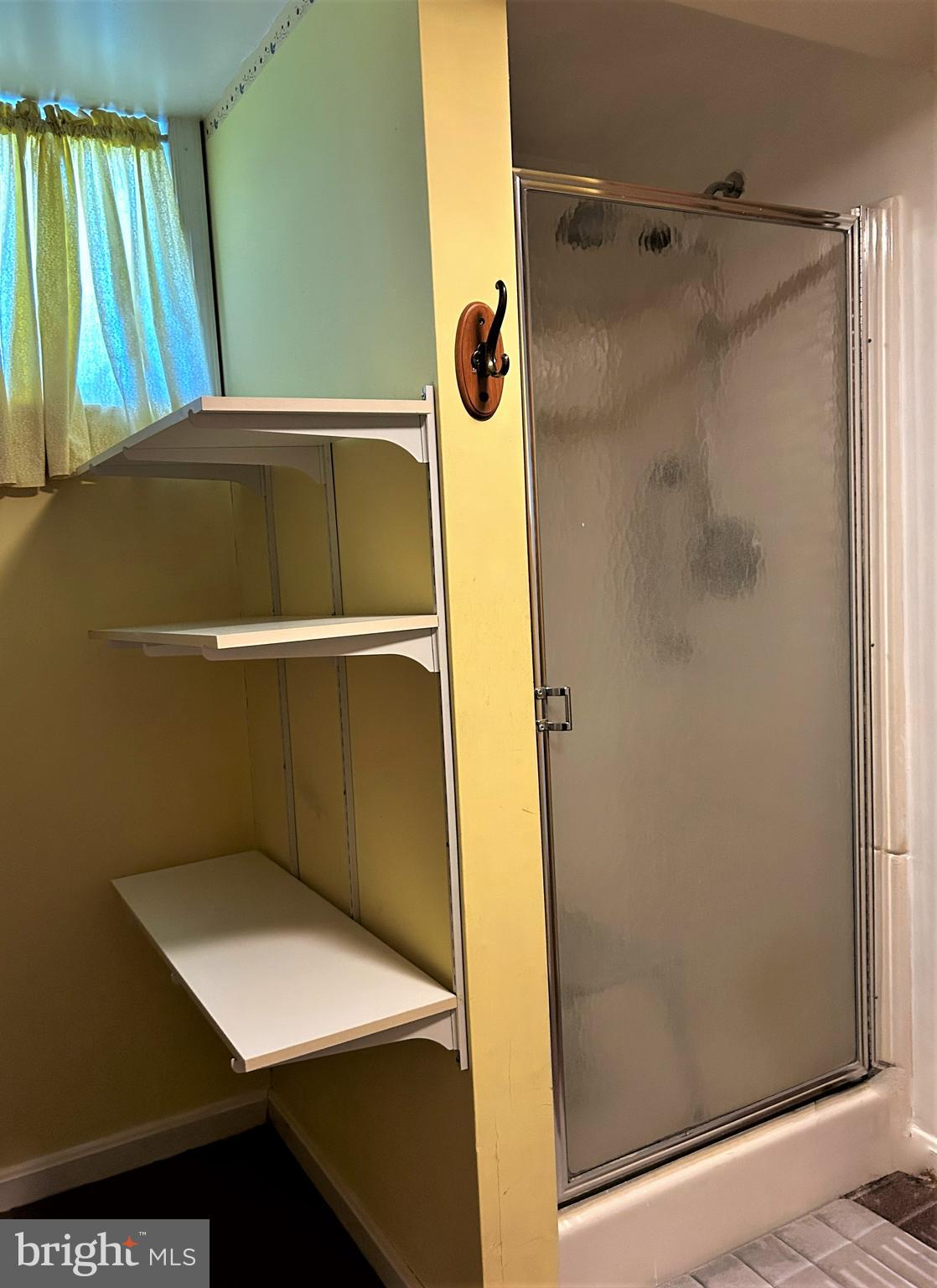 20356 White Oak Drive Sterling, VA 20165 - Photo 24 of 29 Basement shower and linen racks