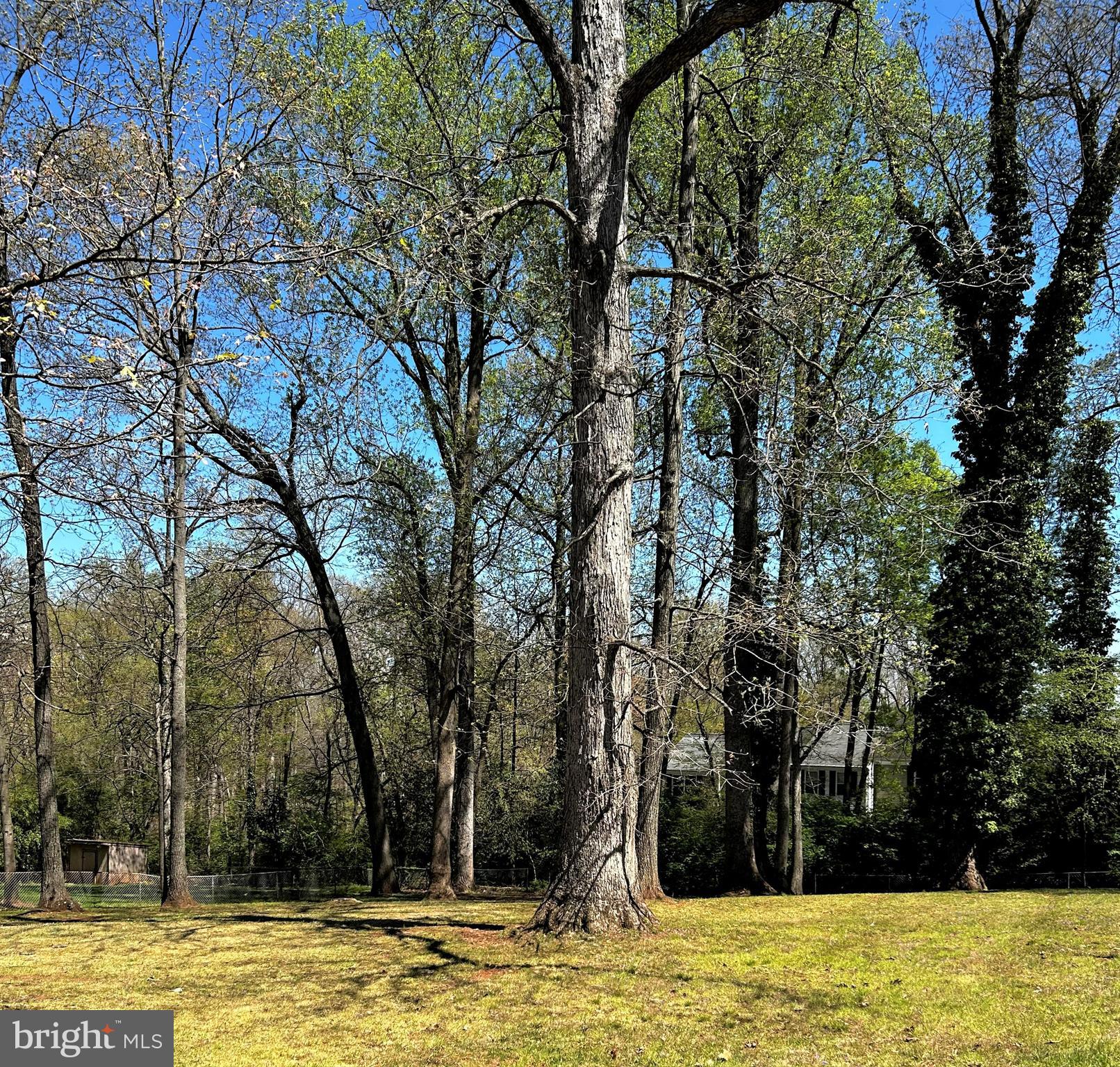 20356 White Oak Drive Sterling, VA 20165 - Photo 29 of 29 Mature trees just enhance the beautiful back yard!