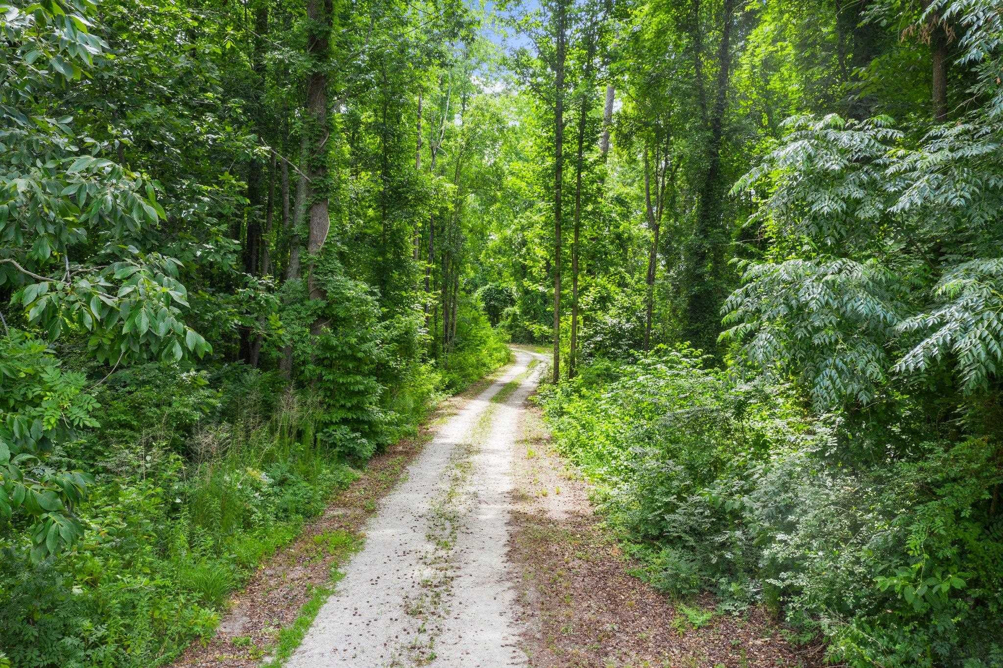 248 Mabry Road Angier, NC 27501 - Photo 10 of 37 Photo 11