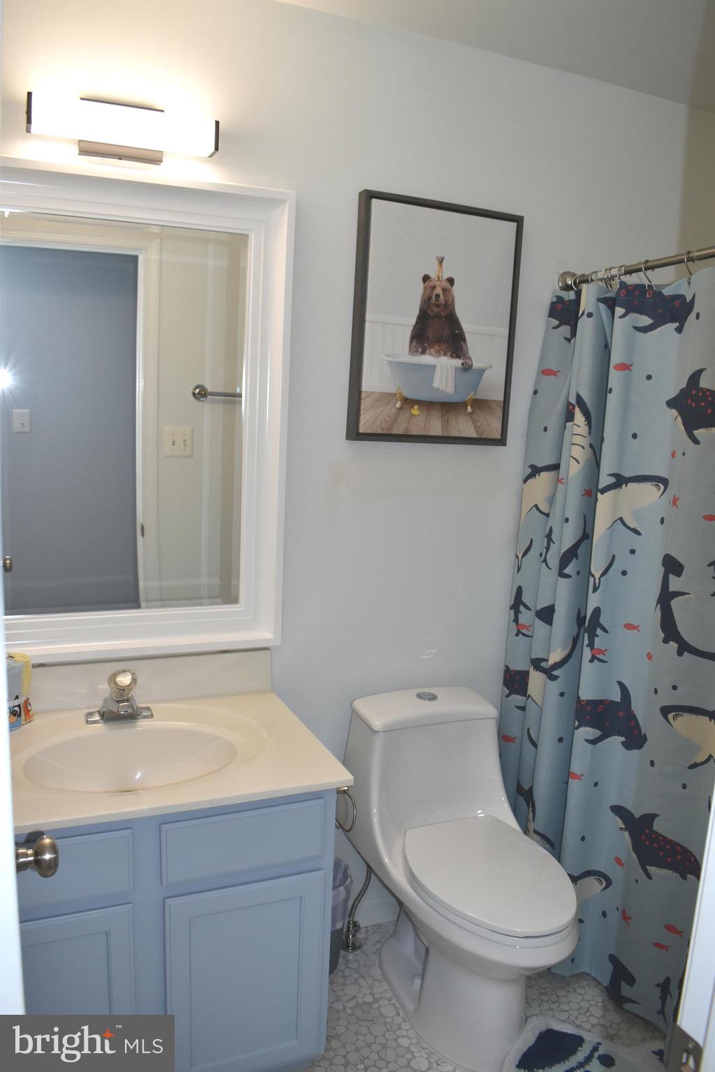 10958 Mountain Run Lake Road Culpeper, VA 22701 - Photo 23 of 31 a bathroom with a toilet sink and mirror
