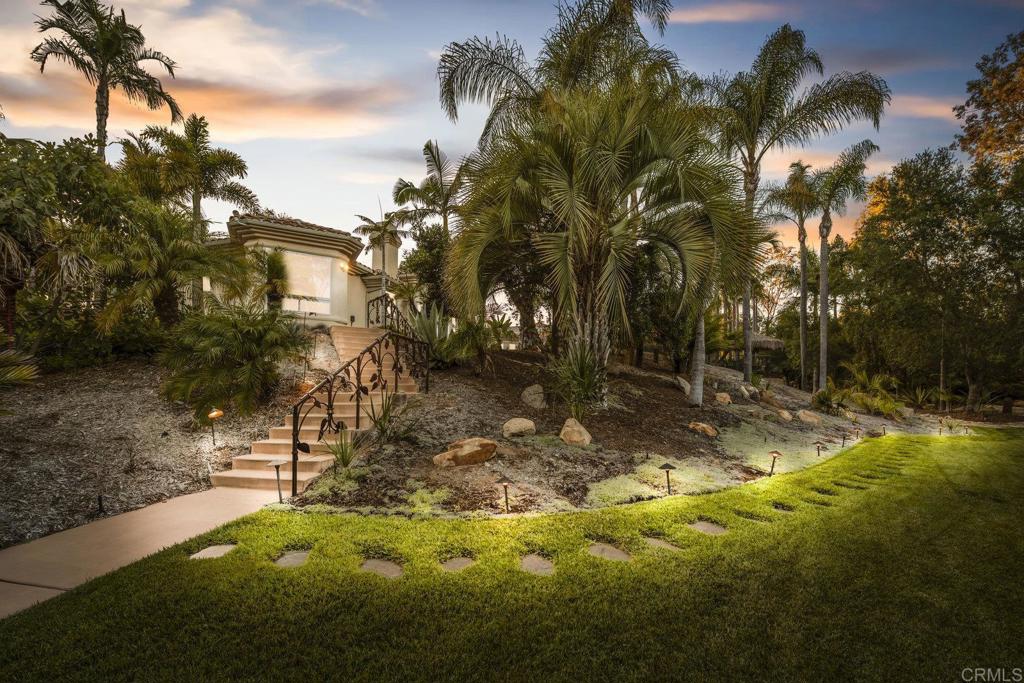 15615 Boulder Ridge Lane Poway, CA 92064 - Photo 63 of 75 a view of a yard with palm tree
