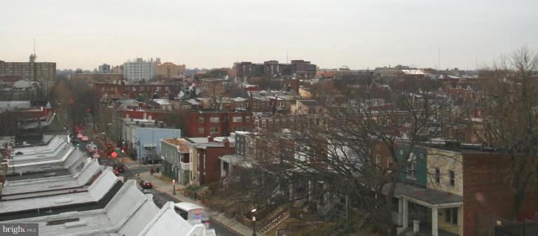 738 Columbia Road Northwest Washington, DC 20001 - Photo 15 of 21 Roof Deck View