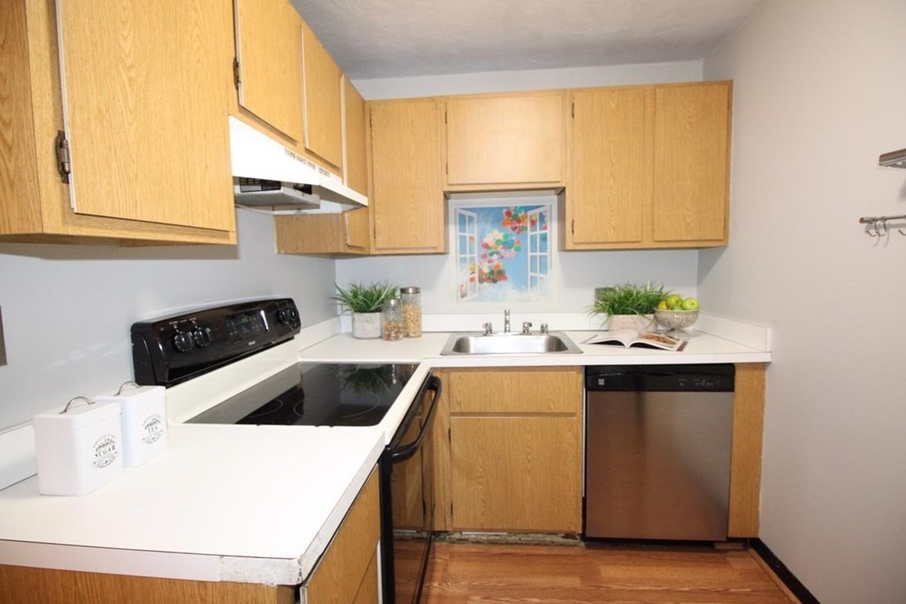 3 Appleton Street, Unit 502 Boston, MA 02116 - Photo 5 of 14 a kitchen with a sink and a stove top oven
