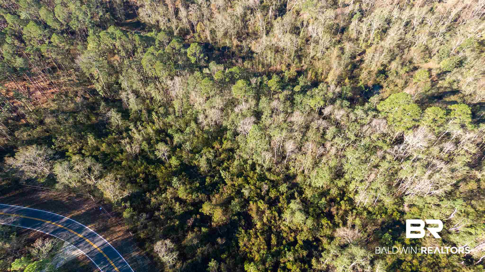 0 McPhillips Road Loxley, AL 36551 - Photo 10 of 27