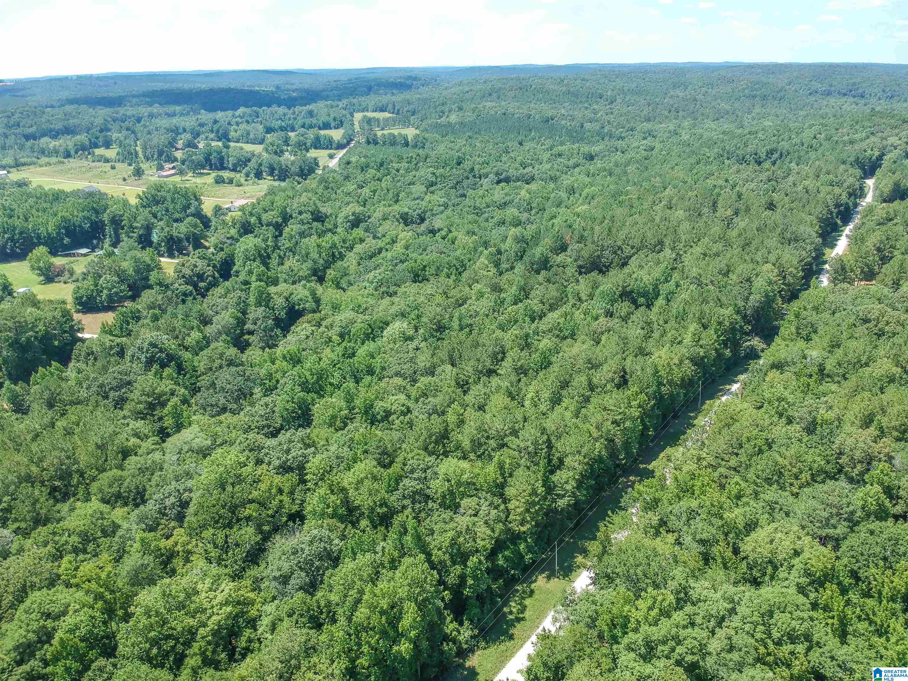 0 Upper Columbus Road Coker, AL 35452 - Photo 7 of 15