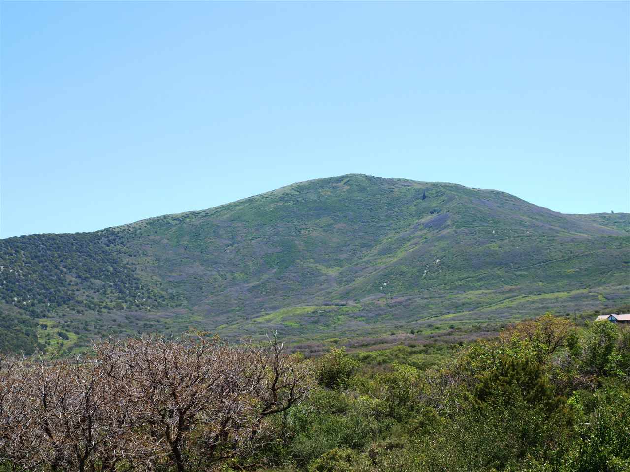 1 Bull Basin Road Molina, CO 81646 - Photo 12 of 13 a view of a dry field