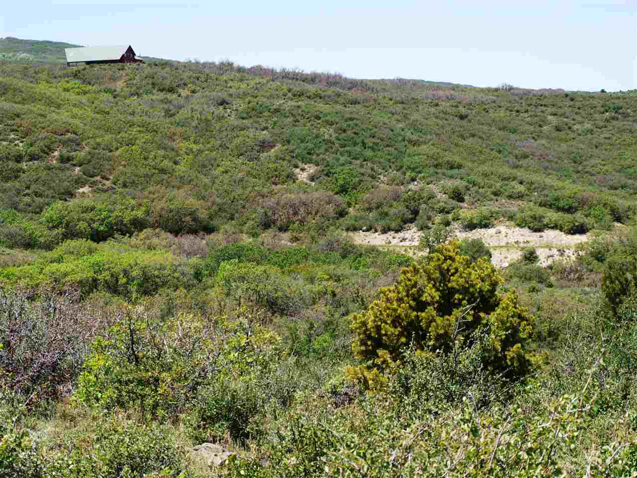 1 Bull Basin Road Molina, CO 81646 - Photo 6 of 13 a view of a lush green field
