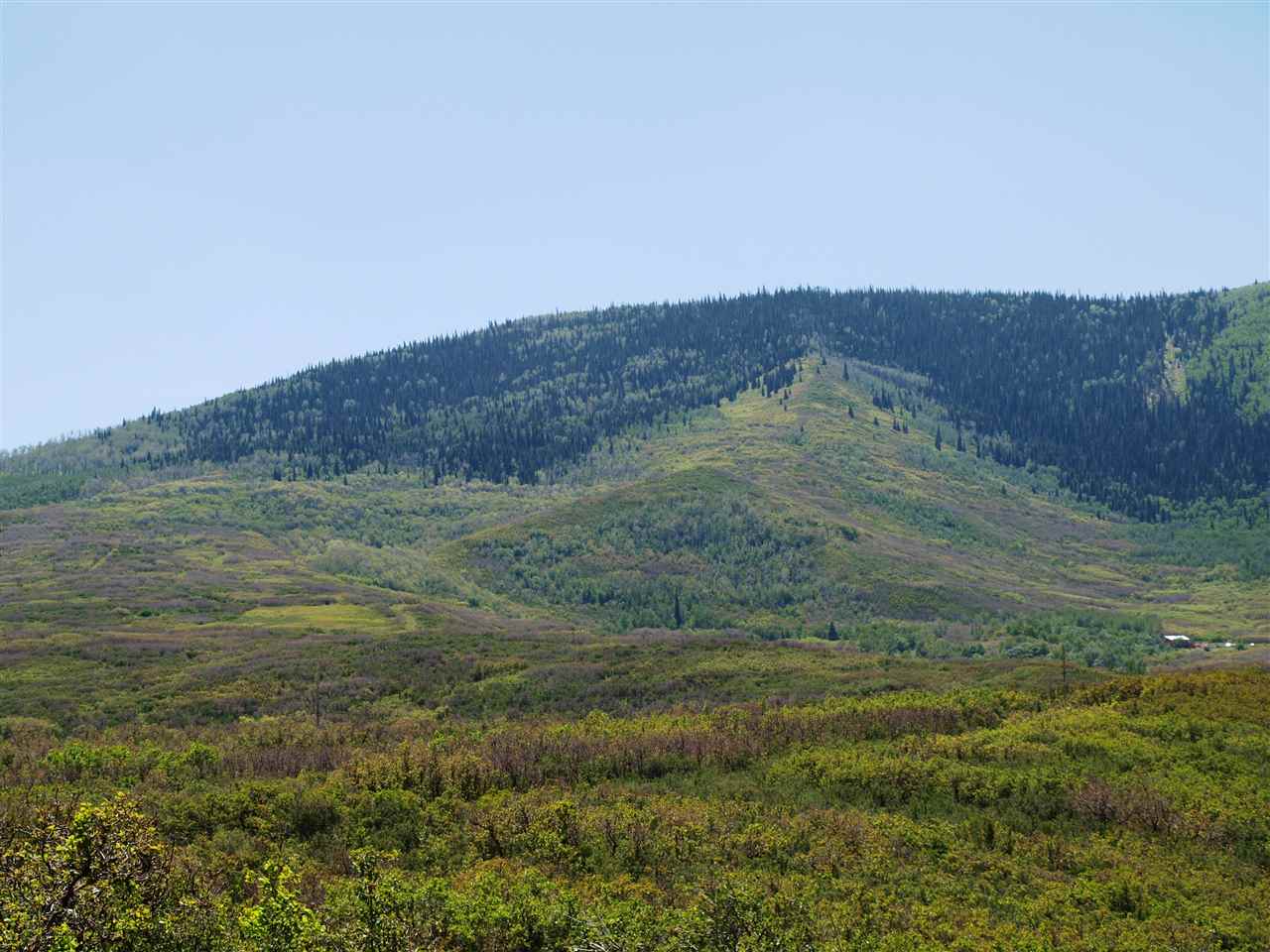 1 Bull Basin Road Molina, CO 81646 - Photo 9 of 13 a view of a field with an ocean