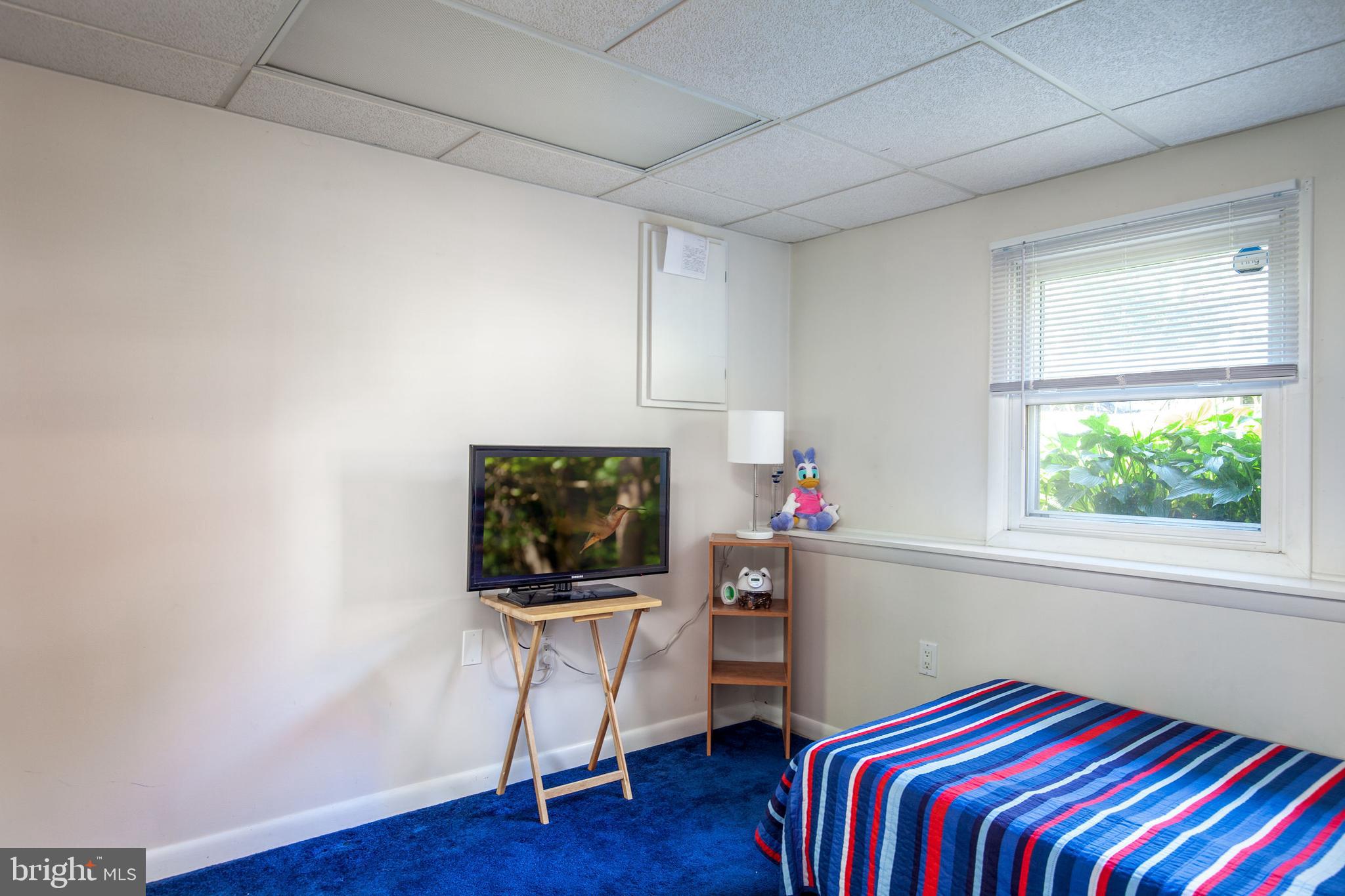 229 Oakwood Road Edgewater, MD 21037 - Photo 17 of 26 Lower Level Bedroom
