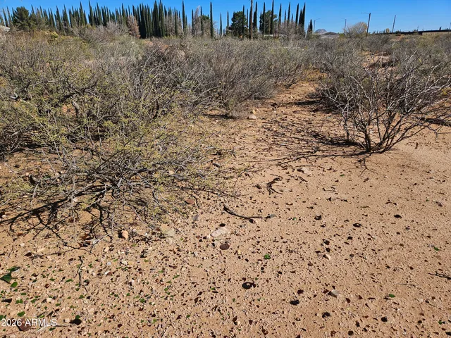 $19,500 | Xxxx Xxxx Tbd, Unit 614, Douglas, AZ 85607