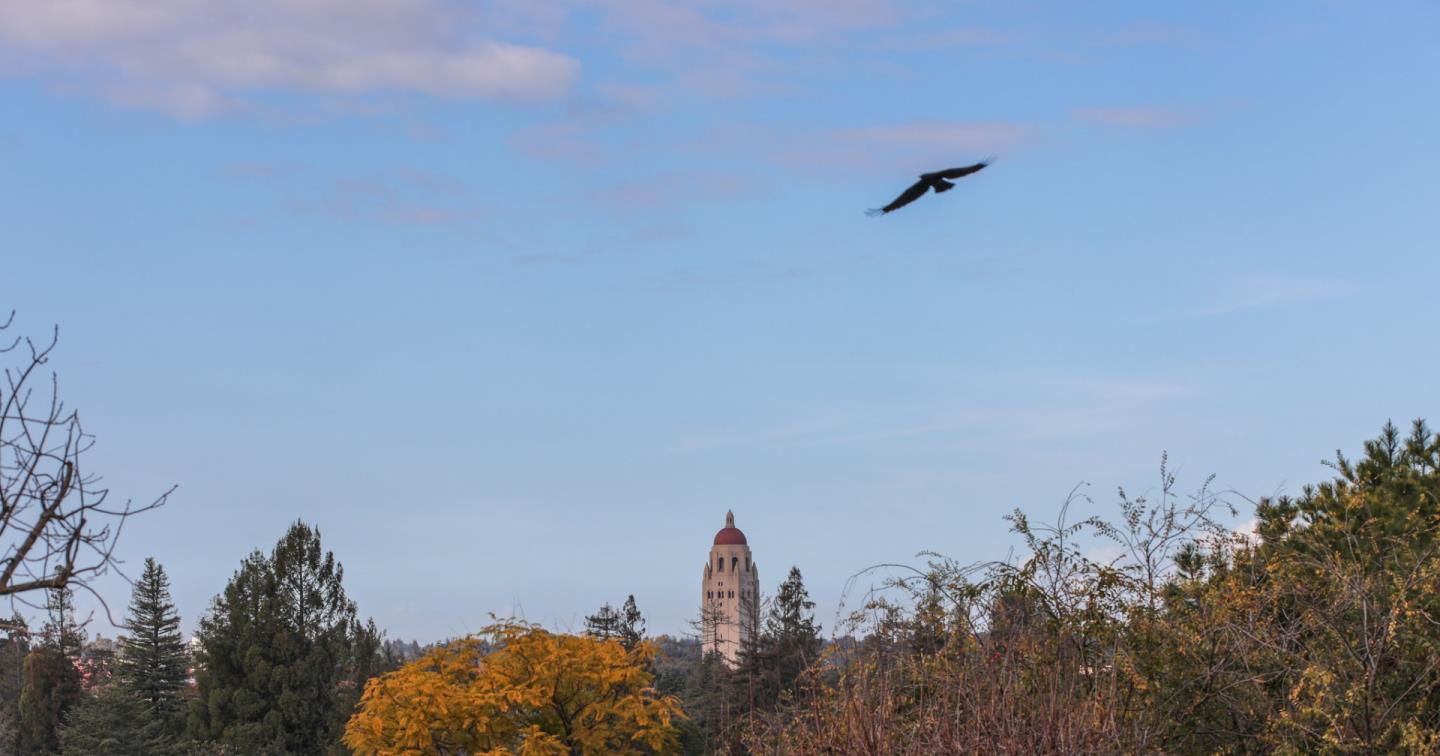 862 Lathrop Drive Stanford, CA 94305 - Photo 36 of 36