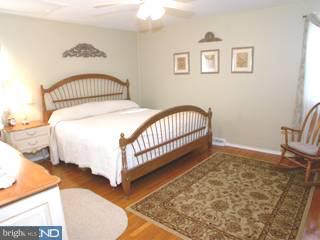 367 Lester Road Springfield, PA 19064 - Photo 6 of 6