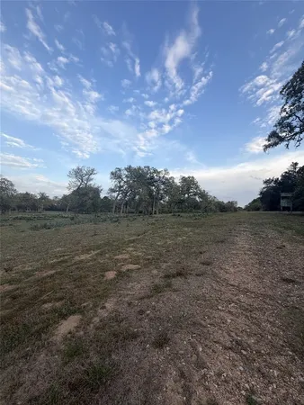 a view of a field with an trees in the background