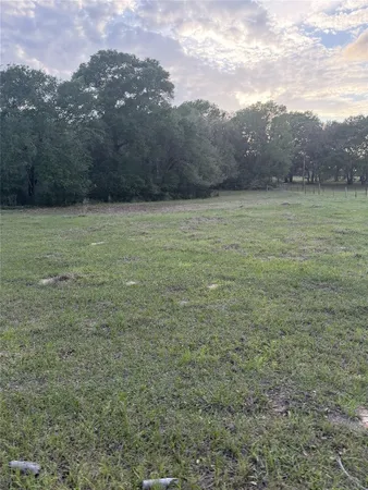a view of outdoor space with trees