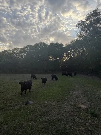 a view of a lake with outdoor space