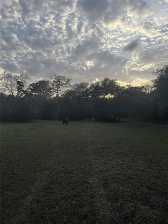 a view of outdoor space and yard