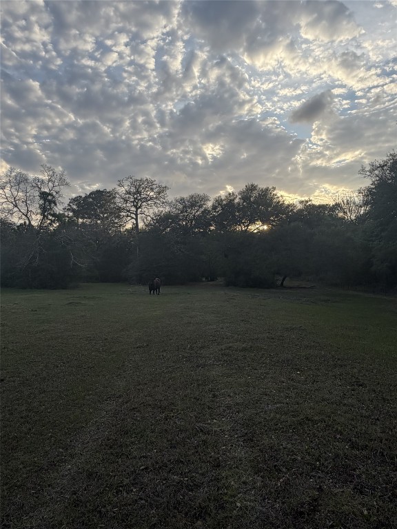 1743 Zimmerscheidt Road New Ulm, TX 78950 - Photo 6 of 13