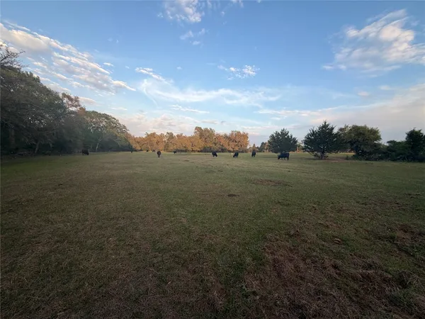 a view of a field with an ocean view