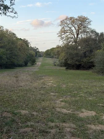 a view of an outdoor space and a yard