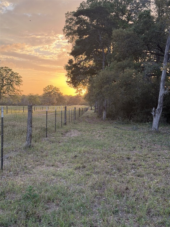 1743 Zimmerscheidt Road New Ulm, TX 78950 - Photo 9 of 13