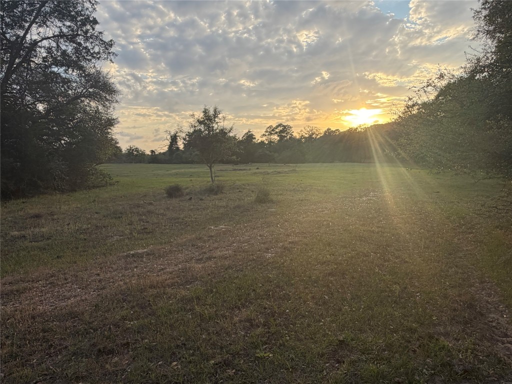 1743 Zimmerscheidt Road New Ulm, TX 78950 - Photo 10 of 13